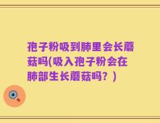 孢子粉吸到肺里会长蘑菇吗(吸入孢子粉会在肺部生长蘑菇吗？)