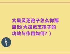 大晟灵芝孢子怎么样那里出(大晟灵芝孢子的功效与作用如何？)