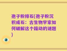 孢子粉排石(孢子粉沉积成石：古生物学家如何破解这个躁动的谜题)