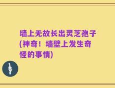 墙上无故长出灵芝孢子(神奇！墙壁上发生奇怪的事情)