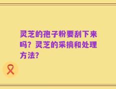 灵芝的孢子粉要刮下来吗？灵芝的采摘和处理方法？