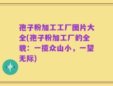 孢子粉加工工厂图片大全(孢子粉加工厂的全貌：一揽众山小，一望无际)