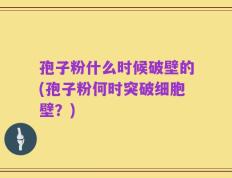孢子粉什么时候破壁的(孢子粉何时突破细胞壁？)