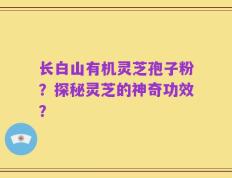 长白山有机灵芝孢子粉？探秘灵芝的神奇功效？