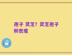 孢子 灵芝？灵芝孢子粉密度