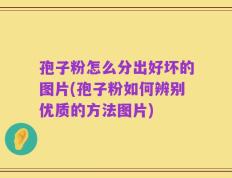 孢子粉怎么分出好坏的图片(孢子粉如何辨别优质的方法图片)