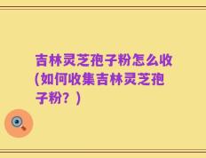 吉林灵芝孢子粉怎么收(如何收集吉林灵芝孢子粉？)