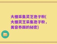 大棚采集灵芝孢子粉(大棚灵芝采集孢子粉，美容养颜的秘密)