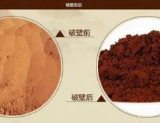 灵芝孢子粉与破壁灵芝孢子粉有什么区别？