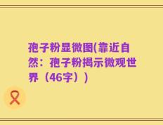 孢子粉显微图(靠近自然：孢子粉揭示微观世界（46字）)