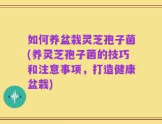 如何养盆栽灵芝孢子菌(养灵芝孢子菌的技巧和注意事项，打造健康盆栽)
