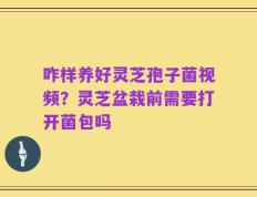 咋样养好灵芝孢子菌视频？灵芝盆栽前需要打开菌包吗