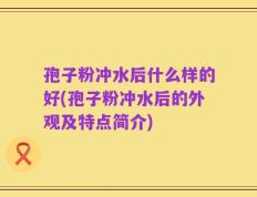 孢子粉冲水后什么样的好(孢子粉冲水后的外观及特点简介)