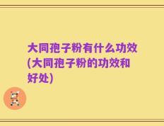 大同孢子粉有什么功效(大同孢子粉的功效和好处)