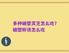 多种破壁灵芝怎么吃？破壁粉该怎么吃
