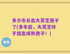 多少年长出大灵芝孢子了(多年后，大灵芝终于结出成熟孢子！)