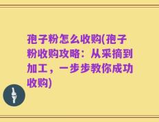 孢子粉怎么收购(孢子粉收购攻略：从采摘到加工，一步步教你成功收购)