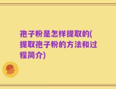 孢子粉是怎样提取的(提取孢子粉的方法和过程简介)
