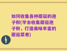 如何收集各种蘑菇的孢子粉(学会收集蘑菇孢子粉，打造美味丰富的蘑菇菜肴)