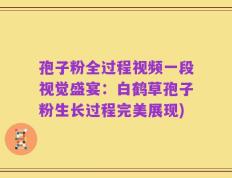 孢子粉全过程视频一段视觉盛宴：白鹤草孢子粉生长过程完美展现)