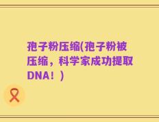 孢子粉压缩(孢子粉被压缩，科学家成功提取DNA！)