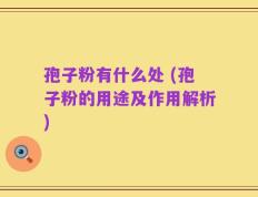 孢子粉有什么处 (孢子粉的用途及作用解析)