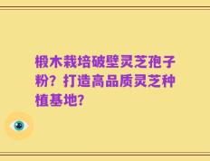 椴木栽培破壁灵芝孢子粉？打造高品质灵芝种植基地？