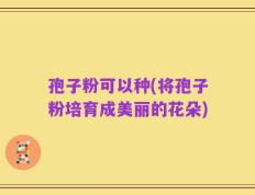 孢子粉可以种(将孢子粉培育成美丽的花朵)