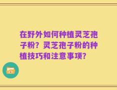 在野外如何种植灵芝孢子粉？灵芝孢子粉的种植技巧和注意事项？