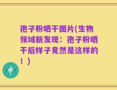 孢子粉晒干图片(生物领域新发现：孢子粉晒干后样子竟然是这样的！)