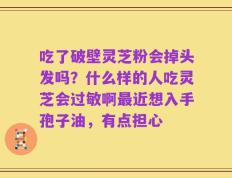 吃了破壁灵芝粉会掉头发吗？什么样的人吃灵芝会过敏啊最近想入手孢子油，有点担心