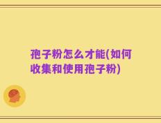 孢子粉怎么才能(如何收集和使用孢子粉)