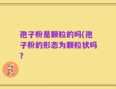 孢子粉是颗粒的吗(孢子粉的形态为颗粒状吗？