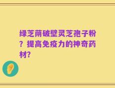 绿芝荫破壁灵芝孢子粉？提高免疫力的神奇药材？