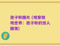 孢子粉图片 (观察微观世界：孢子粉的惊人图像)