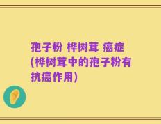 孢子粉 桦树茸 癌症(桦树茸中的孢子粉有抗癌作用)