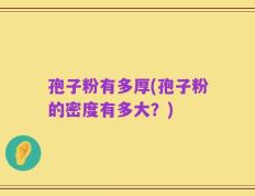 孢子粉有多厚(孢子粉的密度有多大？)