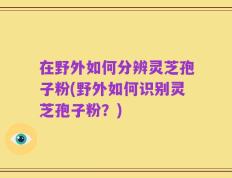在野外如何分辨灵芝孢子粉(野外如何识别灵芝孢子粉？)