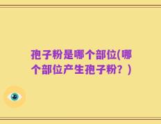 孢子粉是哪个部位(哪个部位产生孢子粉？)
