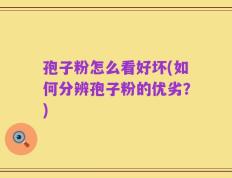 孢子粉怎么看好坏(如何分辨孢子粉的优劣？)