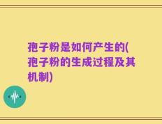 孢子粉是如何产生的(孢子粉的生成过程及其机制)