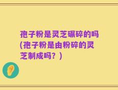 孢子粉是灵芝碾碎的吗(孢子粉是由粉碎的灵芝制成吗？)