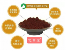 服用灵芝孢子粉的几大好处，你知道吗？