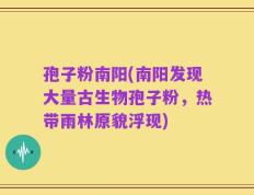 孢子粉南阳(南阳发现大量古生物孢子粉，热带雨林原貌浮现)