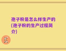 孢子粉是怎么样生产的(孢子粉的生产过程简介)