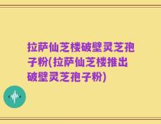 拉萨仙芝楼破壁灵芝孢子粉(拉萨仙芝楼推出破壁灵芝孢子粉)
