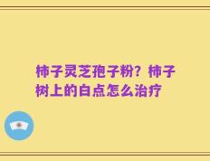 柿子灵芝孢子粉？柿子树上的白点怎么治疗