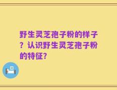 野生灵芝孢子粉的样子？认识野生灵芝孢子粉的特征？