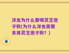 洋虫为什么要喂灵芝孢子粉(为什么洋虫需要食用灵芝孢子粉？)