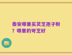 泰安哪里买灵芝孢子粉？哪里的岢芝好